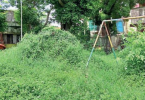 Kolkata: Salt Lake Park is overgrown to be cleaned before puja