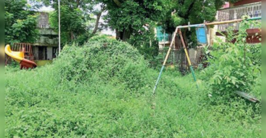 Kolkata: Salt Lake Park is overgrown to be cleaned before puja