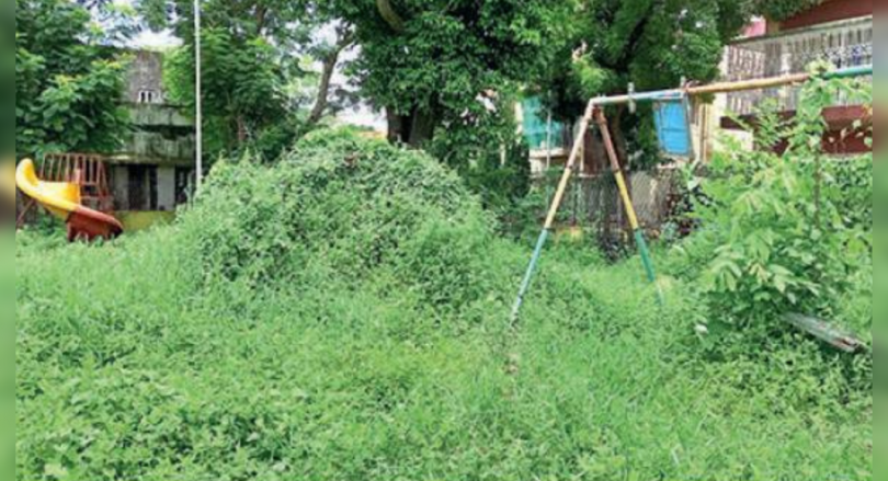 Kolkata: Salt Lake Park is overgrown to be cleaned before puja