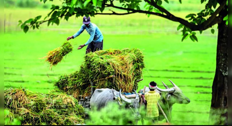 Haryana Farmer operates from the pillar to post for 5 years to restore 53,000 for the government
