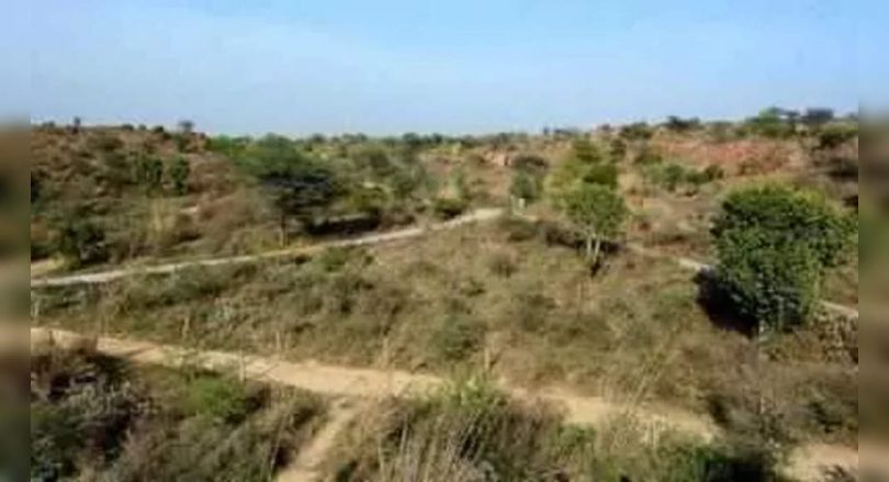 Gurugram: Five-Year Plan to Recover About 1,400 Hectares of Aravalis