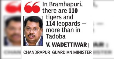 Move the advantages of tigers to curb human-animal conflicts: min