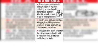 Not a cow Down by A2 Storm, Raipur Co Upbeat in Holstein