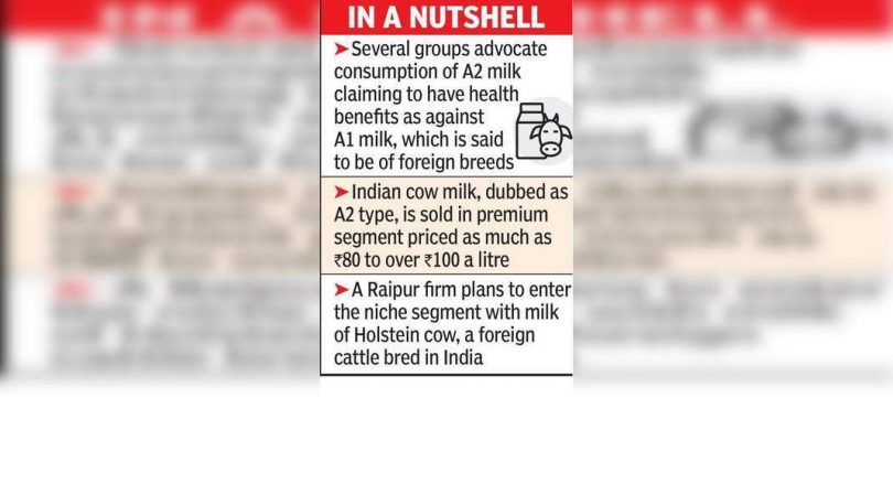 Not a cow Down by A2 Storm, Raipur Co Upbeat in Holstein