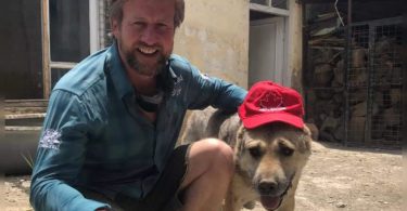 Hope for animal savings trapped in Kabul after our businessman paid the cargo plane to ferry animals, the staff came out