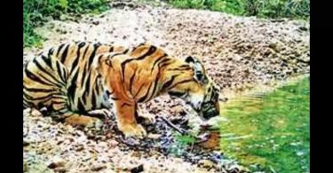 Telangana is looking for land for the road in the Kawal Zone