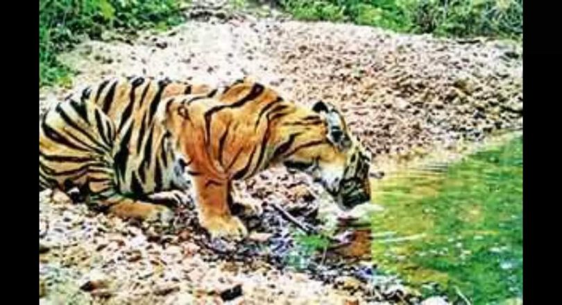 Telangana is looking for land for the road in the Kawal Zone