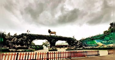 Gujarat: New guest for Jungle Safari in Kevadia