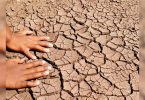 Odisha: 27 districts looked at drought, said IMD