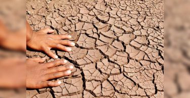 Odisha: 27 districts looked at drought, said IMD