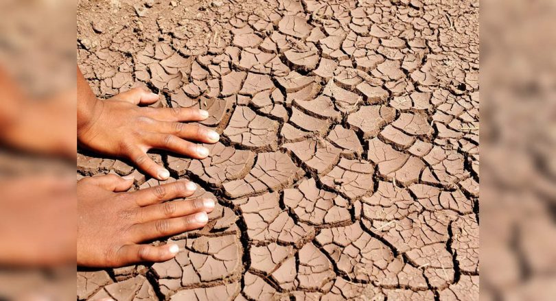 Odisha: 27 districts looked at drought, said IMD