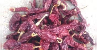 The Post Department plans to issue a special cover on GI products in Karnataka