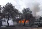Greek Wildfires: Other Blaze Breaks on Evia Island