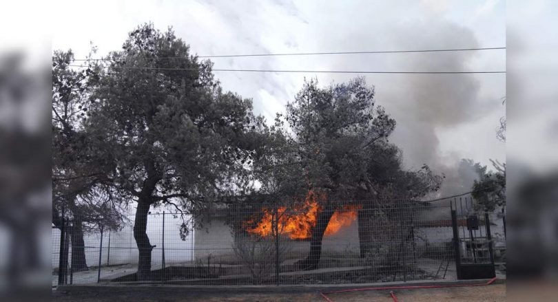 Greek Wildfires: Other Blaze Breaks on Evia Island