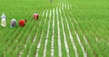 The government to use remote sensing, GIS for rural development