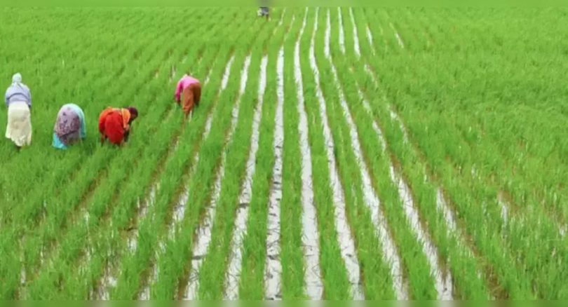 The government to use remote sensing, GIS for rural development