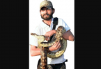 Gujarat: strict rules put snake savior in place