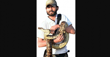 Gujarat: strict rules put snake savior in place