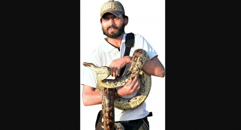 Gujarat: strict rules put snake savior in place