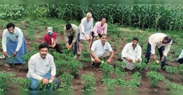 Rakhis is bound to plants to protest illegal surveys in Warangal