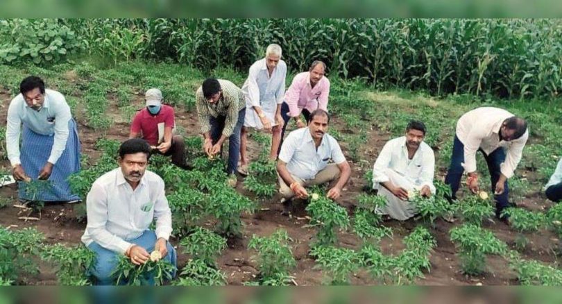 Rakhis is bound to plants to protest illegal surveys in Warangal