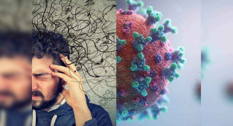 Covid Virus, Vaccine Does Not Enter Human DNA: Study