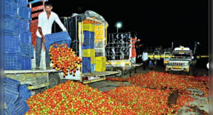 Accident Price of Tomatoes, Nashik Dump Farmers Produced on the Road