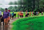 Kambala fans built a 130m practice track at Udupi