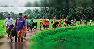 Kambala fans built a 130m practice track at Udupi