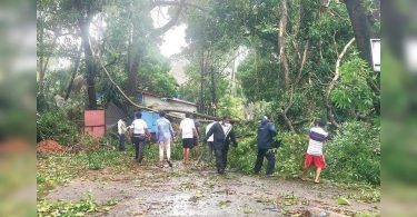 Margao Civic Body tells to cut trees that cause danger