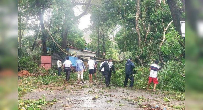 Margao Civic Body tells to cut trees that cause danger