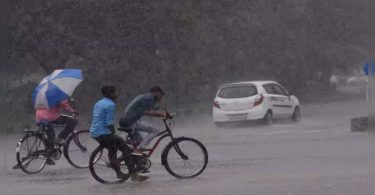 The rainfall cheats in 11 Punjab districts so far