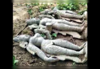 Three stone idols found in Chennai's Ponneri