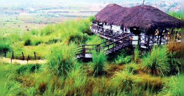 JDA in talks with selected companies for desert garden maintenance