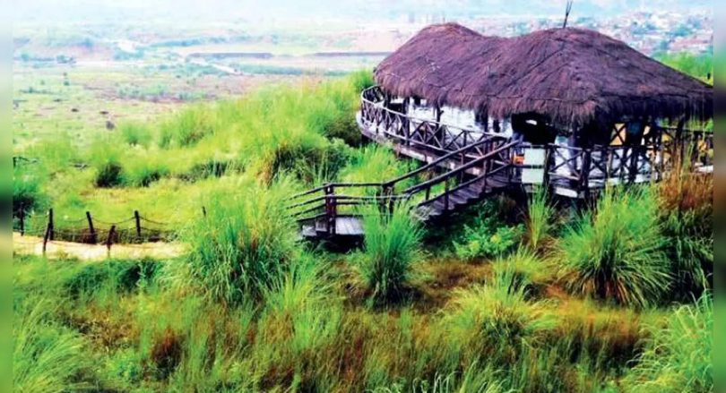 JDA in talks with selected companies for desert garden maintenance