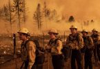 More than 13,000 firefighters of a dozen big forest fires in California
