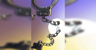 City police throw 79 cases a day in 11 months