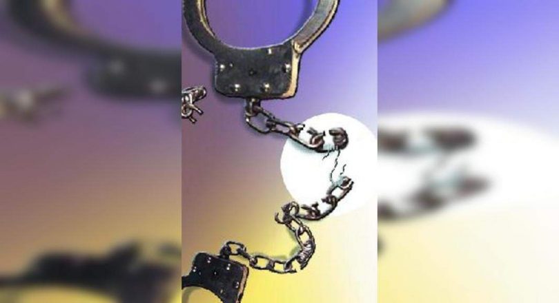 City police throw 79 cases a day in 11 months