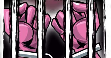 'The minister has no immunity from the arrest in criminal things'