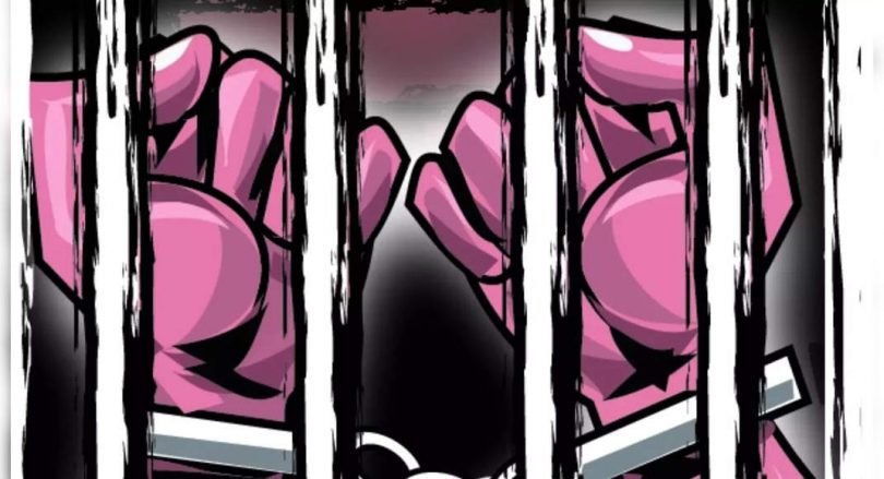 'The minister has no immunity from the arrest in criminal things'