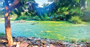 Chennai: Velachery Lake wasn't cleaned for 20 years