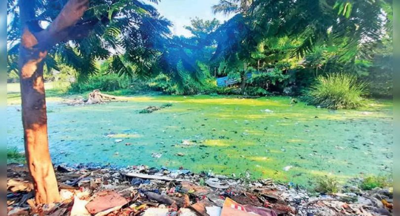 Chennai: Velachery Lake wasn't cleaned for 20 years