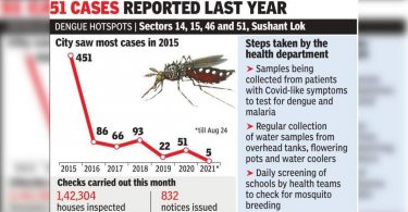 First season: five positive tests for dengue fever