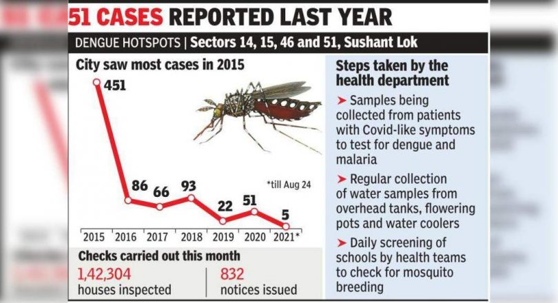 First season: five positive tests for dengue fever