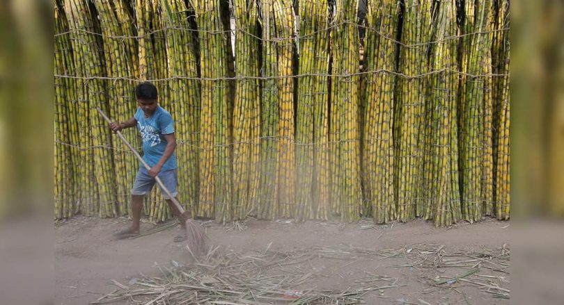 The government approves FRP of RS 290 / Quintal on sugar cane