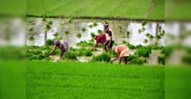 TN to withdraw Rs 11,500-Cr loan to farmers