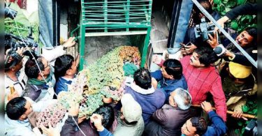 Rise up in the incident of wild animals that deviate to the cities of Raj