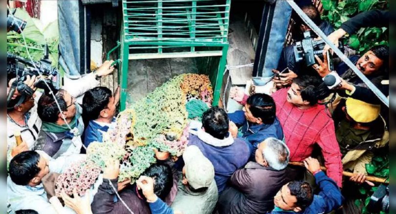 Rise up in the incident of wild animals that deviate to the cities of Raj