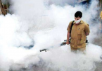 GHMC steps forward to hit the risk of dengue fever at school