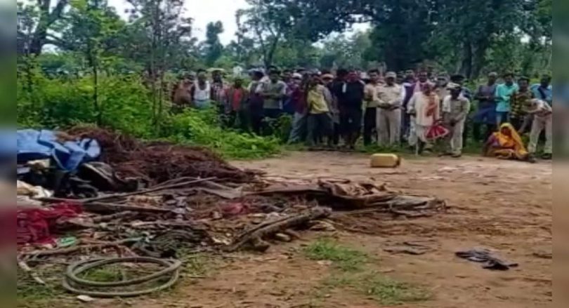 Madhya Pradesh: Couples, children are trampled to death by wild elephants